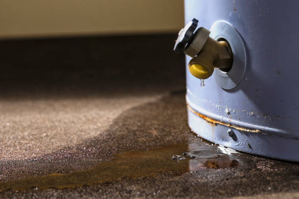 Best Mold removal after water damage  in Arche, OK