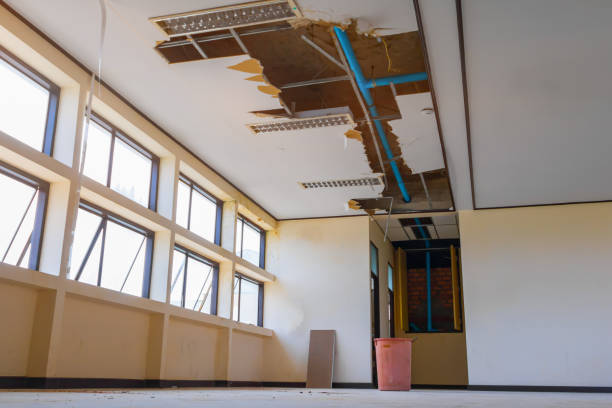Best Professional water damage repair  in Arche, OK