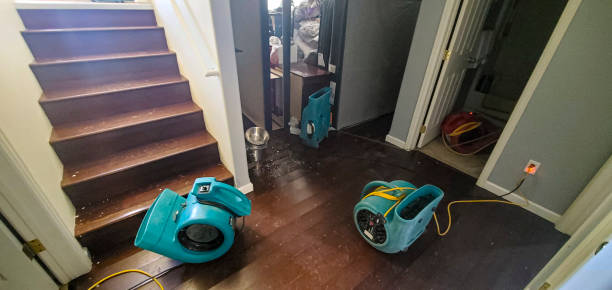 Best Professional water damage repair  in Arche, OK