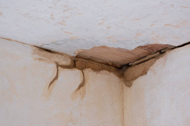 Best Water damage restoration services  in Arche, OK
