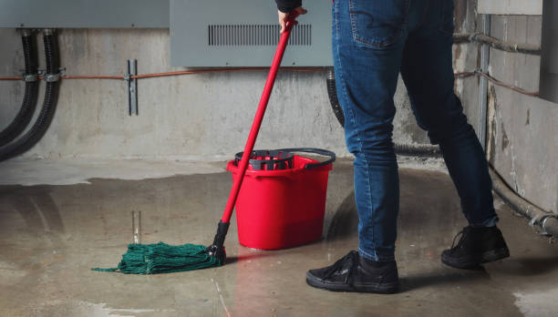 Best Carpet water damage restoration  in Arche, OK
