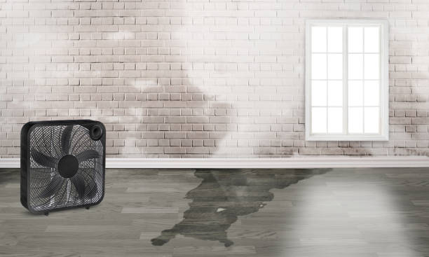 Best Fire Damage Restoration  in Arche, OK
