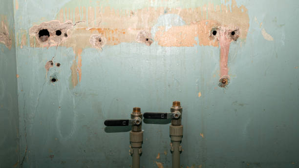 Best Water damage cleanup near me  in Arche, OK