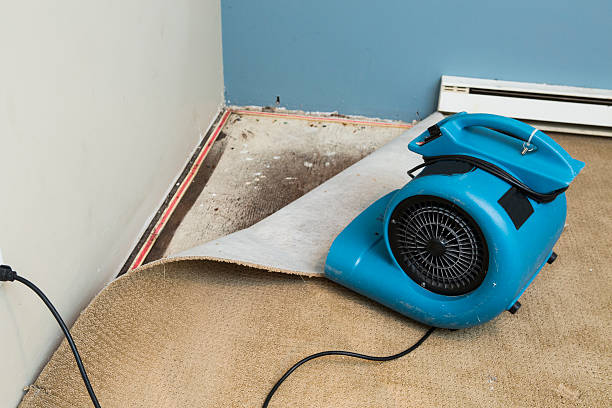 Water damage restoration mold remediation in OK